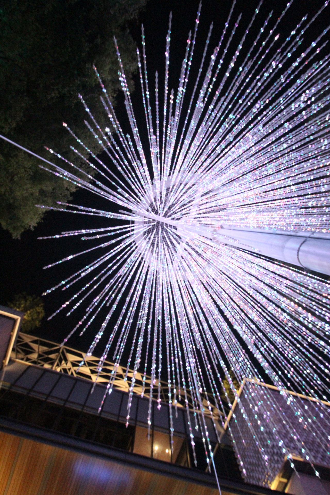 下から見たグランモール公園の電光ツリー