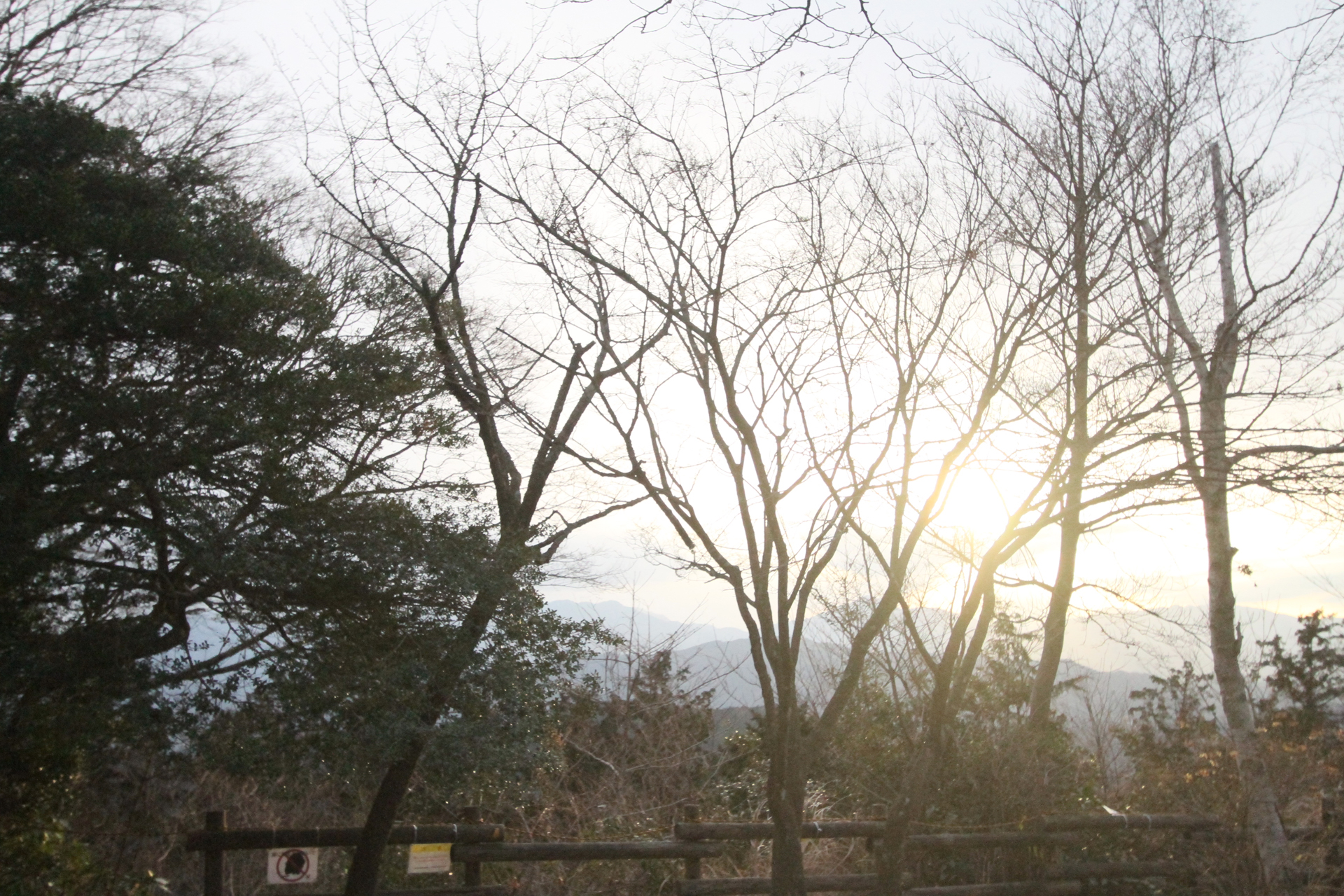 高尾山中腹から見た夕日