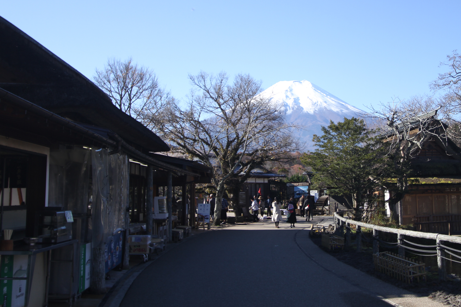 忍野八海から見た富士山1