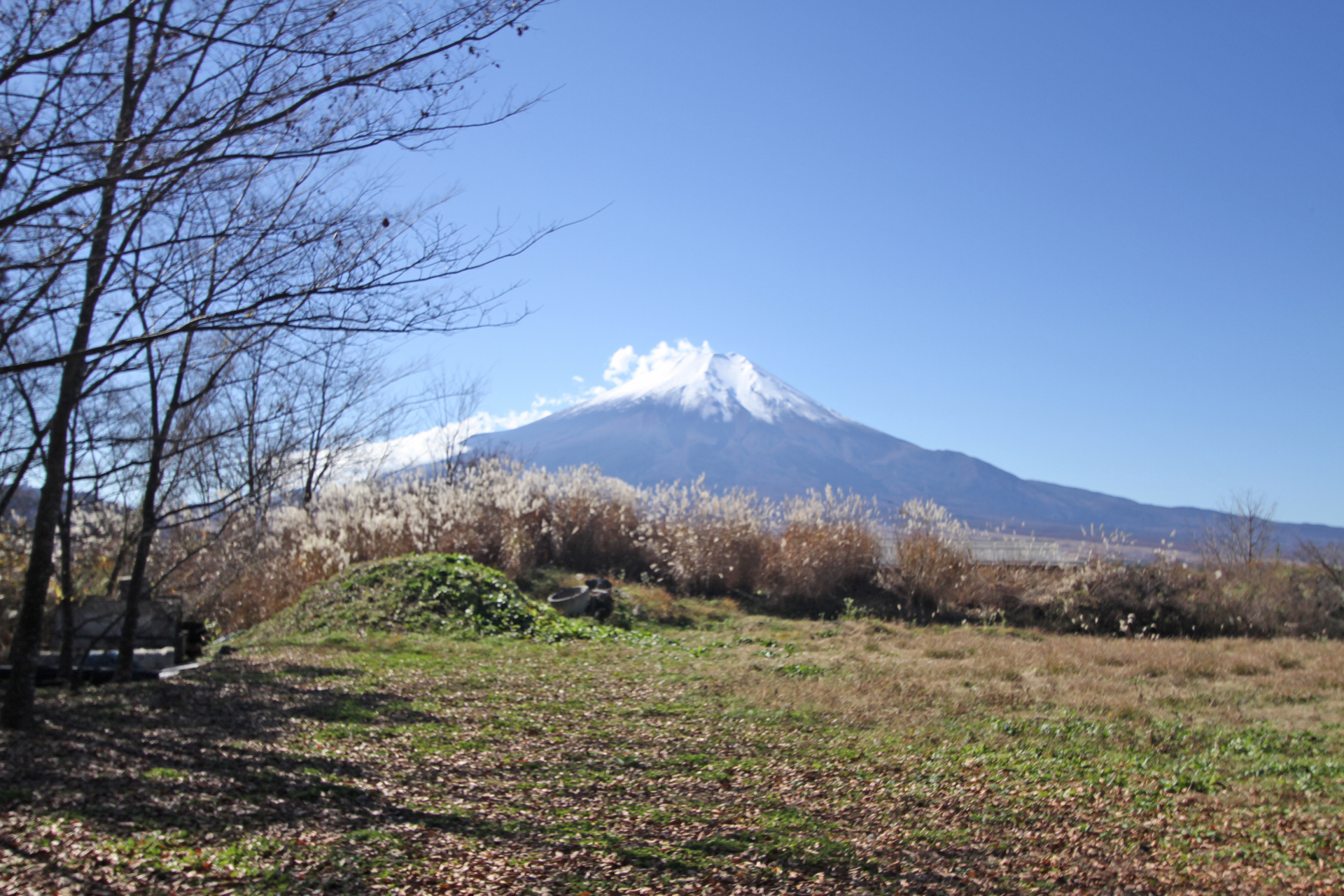 山梨県でみた富士山壱