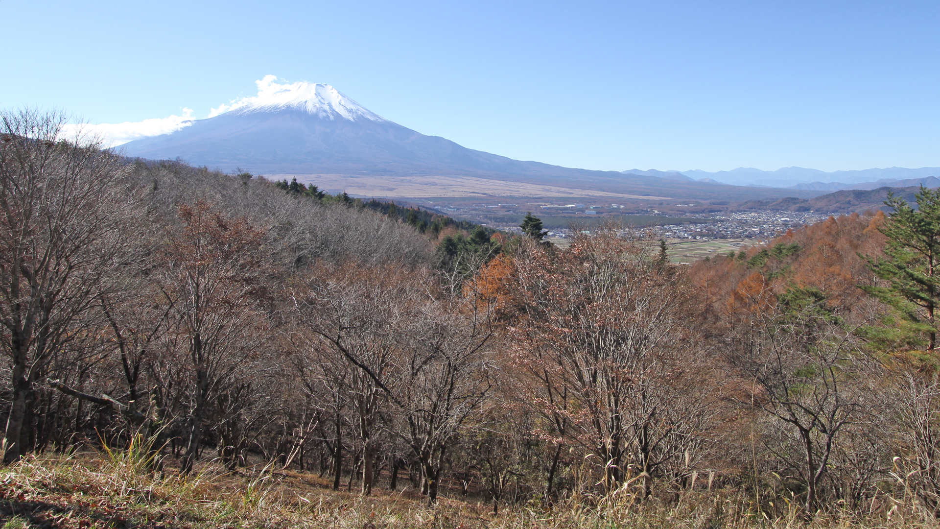 三ツ峠で見た富士山弐